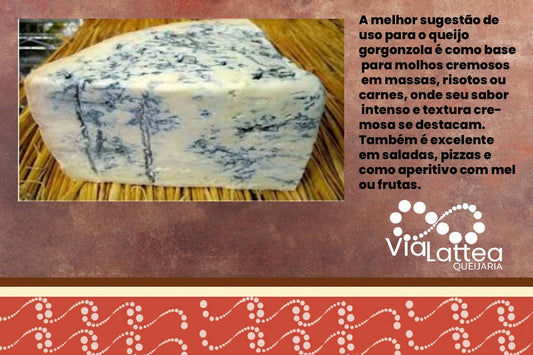 Queijo Gorgonzola Fracionado